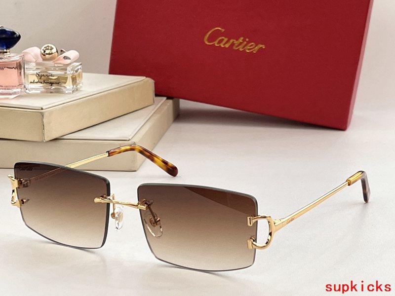 Lifestyle view of Cartier unisex sunglasses