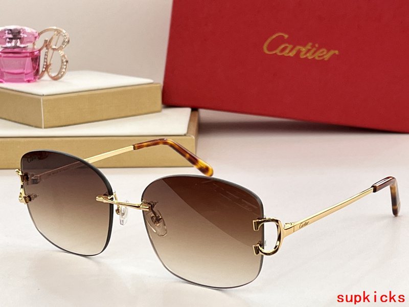 Front view of Cartier unisex sunglasses