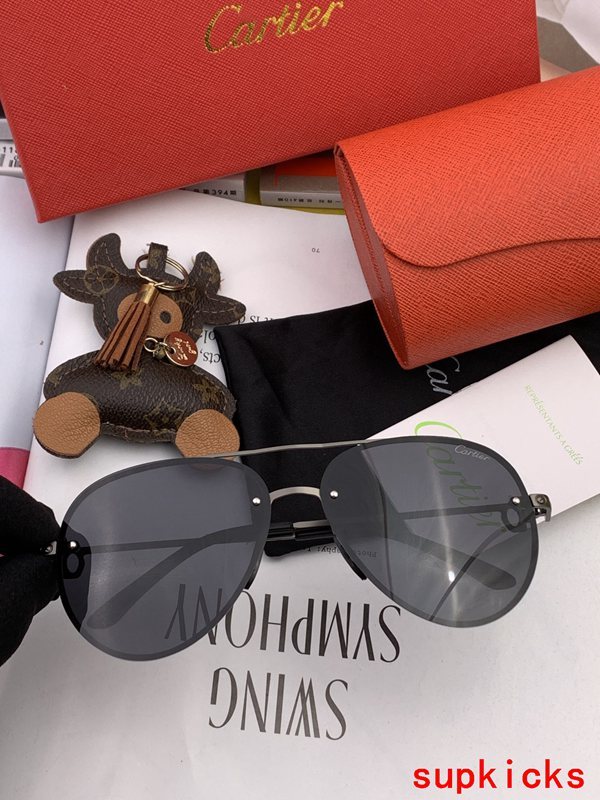 Front view of Cartier unisex sunglasses