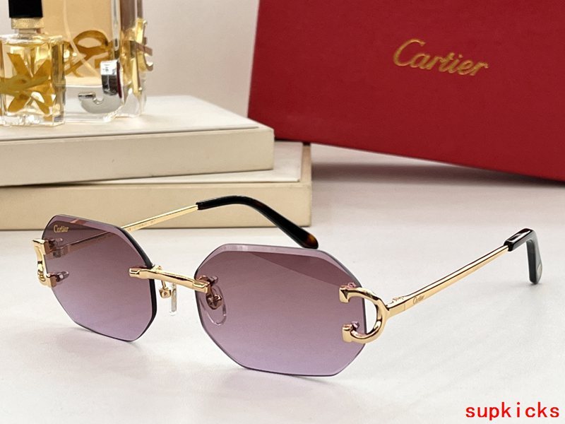 Angled view of Cartier unisex sunglasses