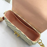 Front view of elevated modern women's handbag – women's luxury accessory