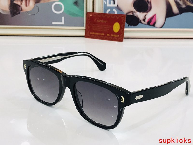 Front view of Cartier unisex sunglasses