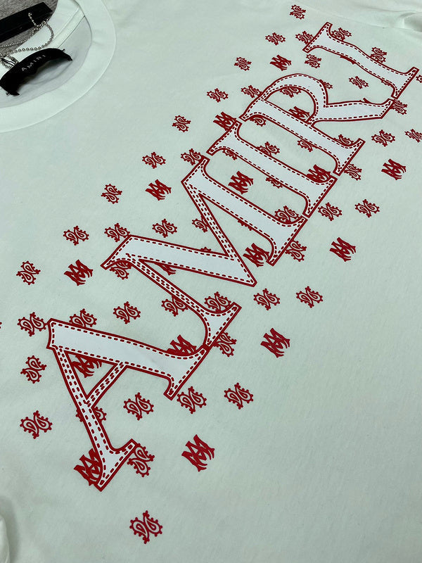 Amiri t-shirt front view designer style