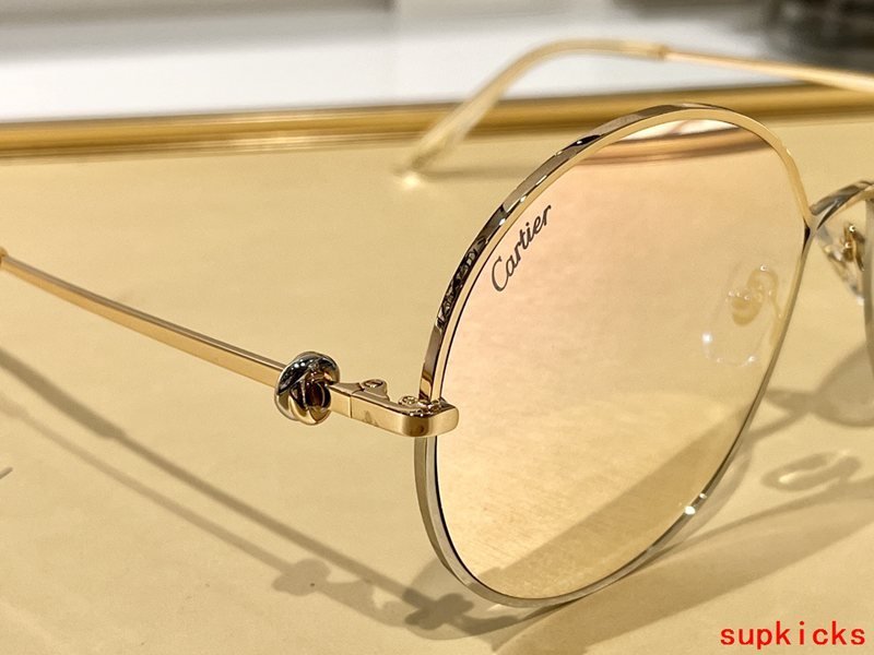 Side view of Cartier unisex sunglasses