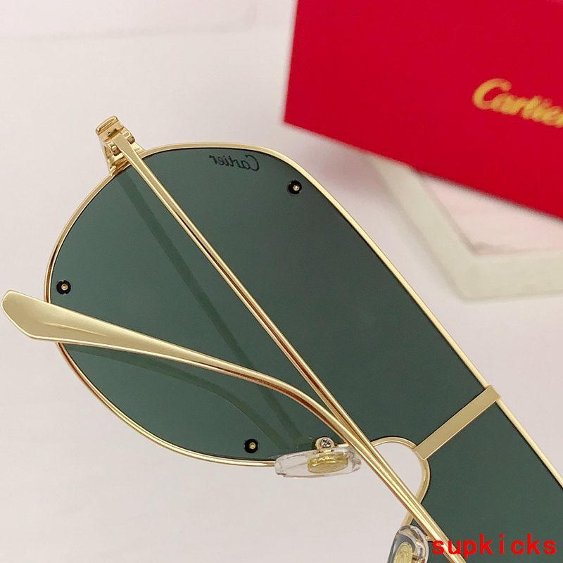 Close-up detail view of Cartier unisex sunglasses