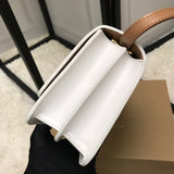 Ziva's Charm handbag – carry view (one versatile size)