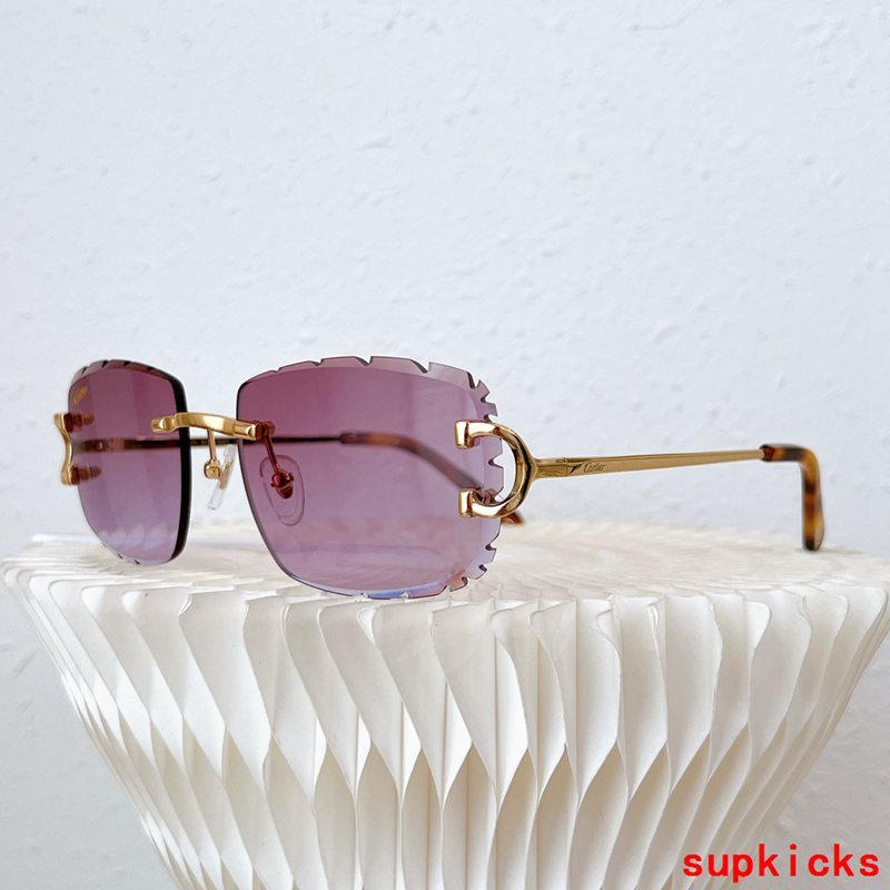 Side view of Cartier unisex sunglasses