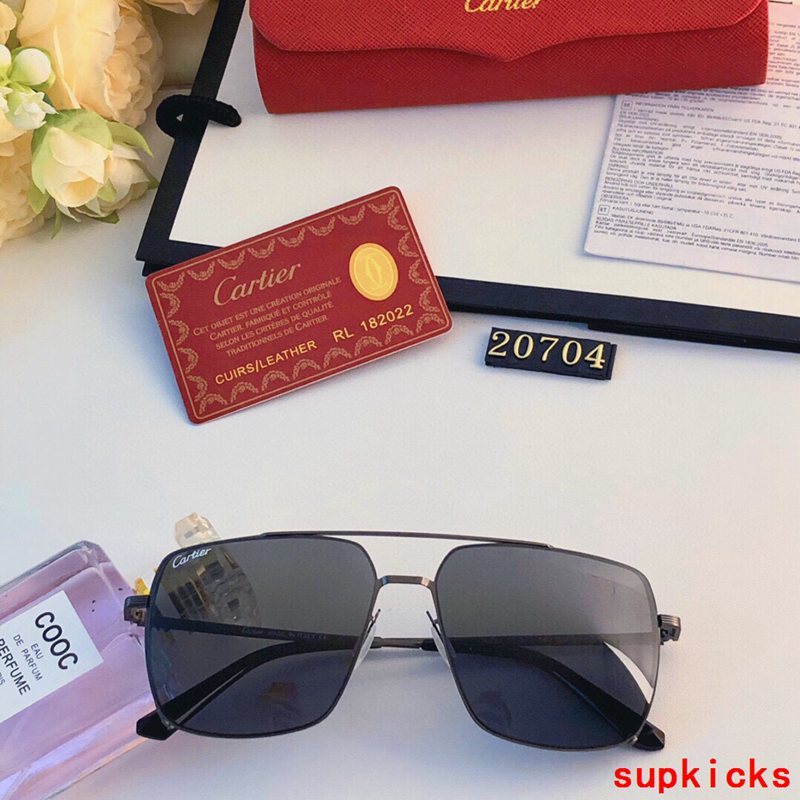 Side view of Cartier unisex sunglasses