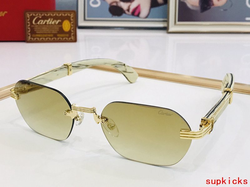 Side view of Cartier unisex sunglasses