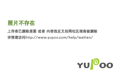 Louis Vuitton luxury shoes styling view — premium authentic designer style