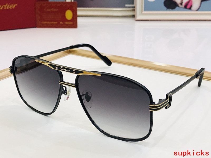 Side view of Cartier unisex sunglasses