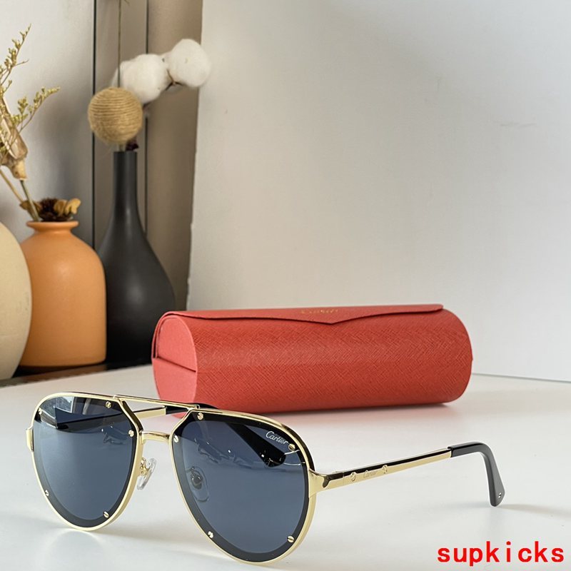 Side view of Cartier unisex sunglasses