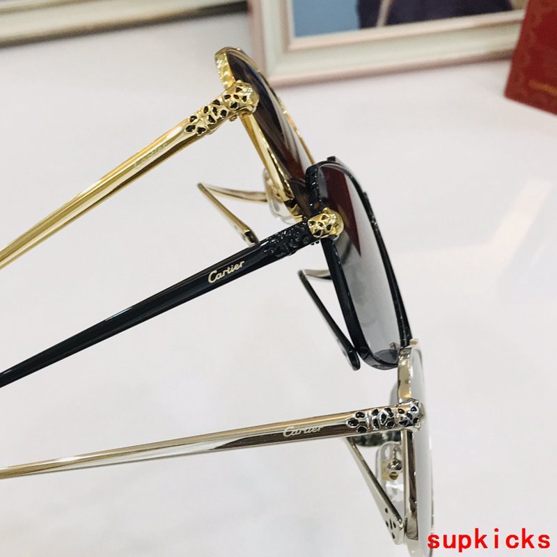 Close-up detail view of Cartier unisex sunglasses