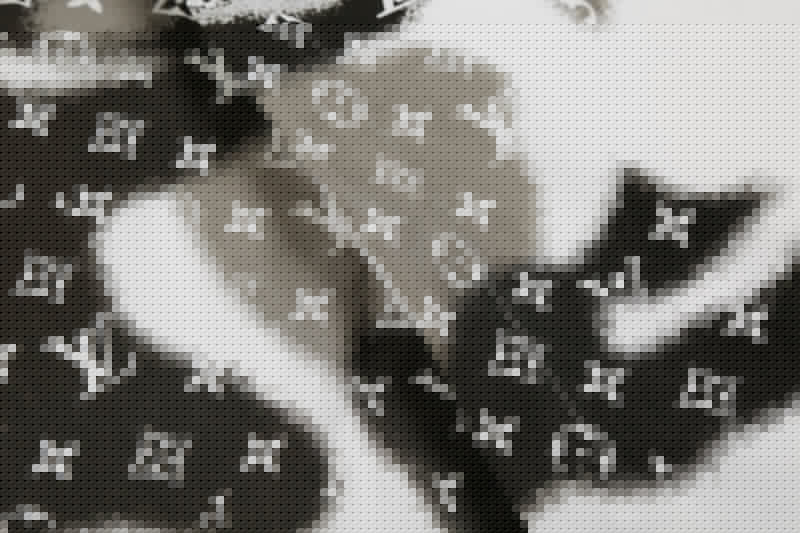 Front view of Louis Vuitton luxury clothing with logo-detail design