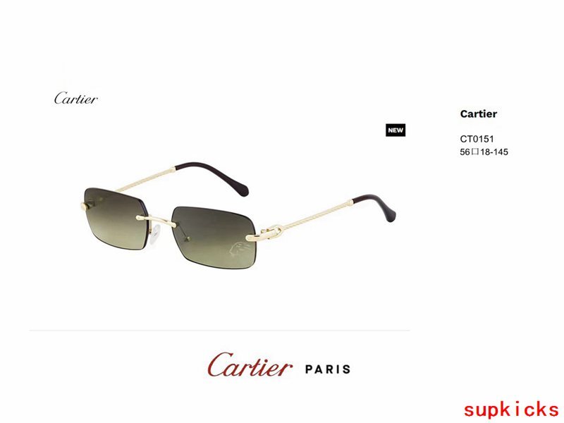 Lifestyle view of Cartier unisex sunglasses