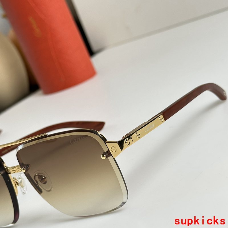Close-up detail view of Cartier unisex sunglasses