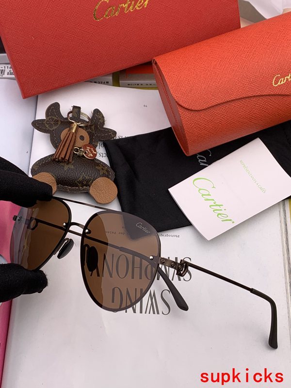 Side view of Cartier unisex sunglasses
