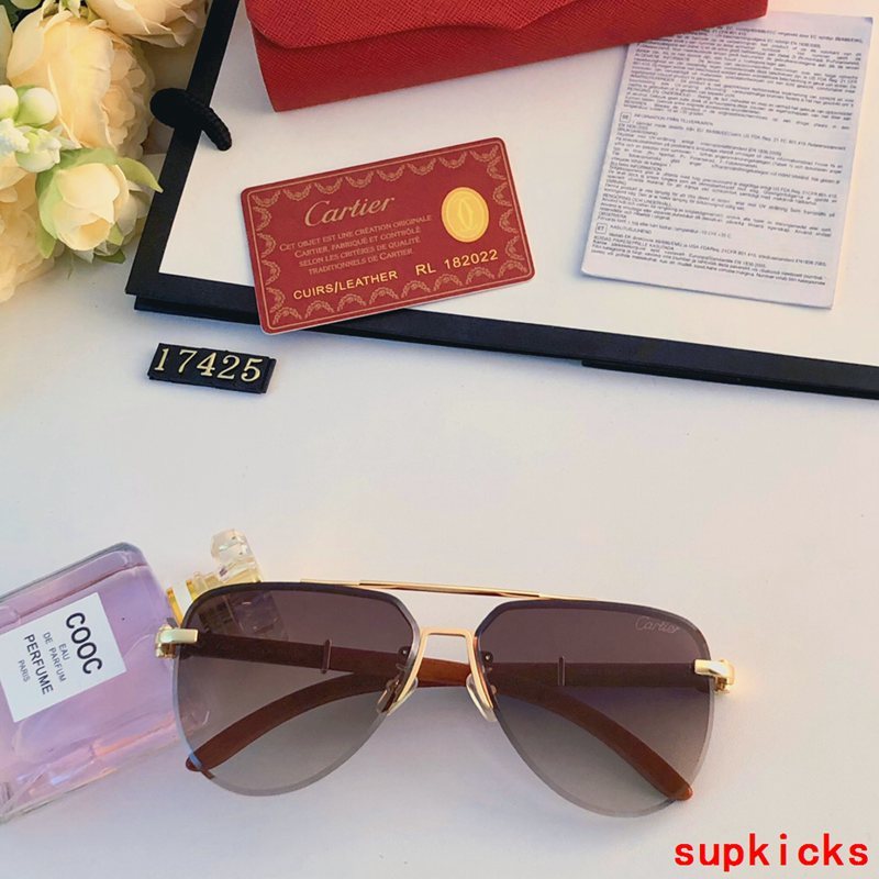 Side view of Cartier unisex sunglasses