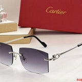 Side view of Cartier unisex sunglasses