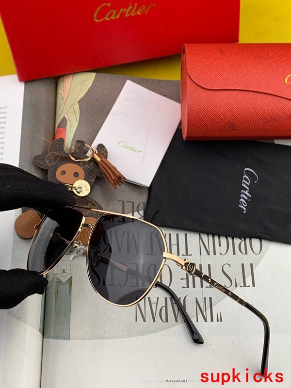 Close-up detail view of Cartier unisex sunglasses