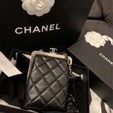  versatile purse view 4