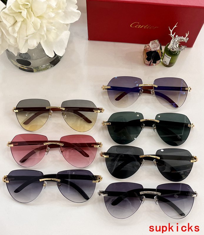 Lifestyle view of Cartier unisex sunglasses