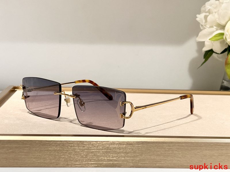 Side view of Cartier unisex sunglasses