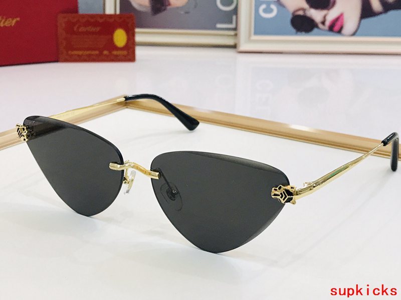 Front view of Cartier unisex sunglasses