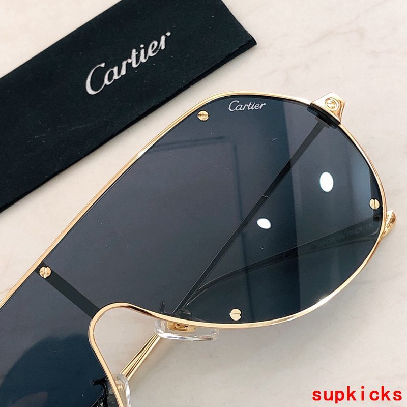 Close-up detail view of Cartier unisex sunglasses