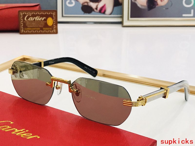 Full view of Cartier unisex sunglasses