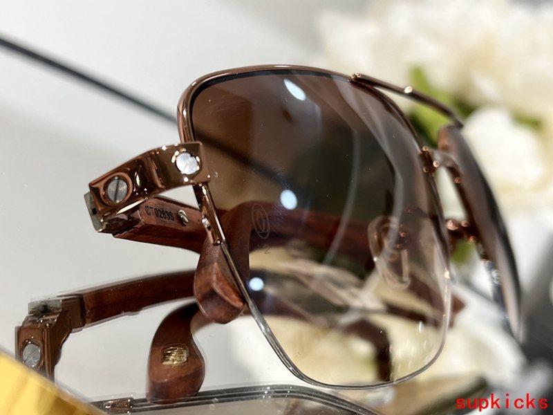 Full view of Cartier unisex sunglasses