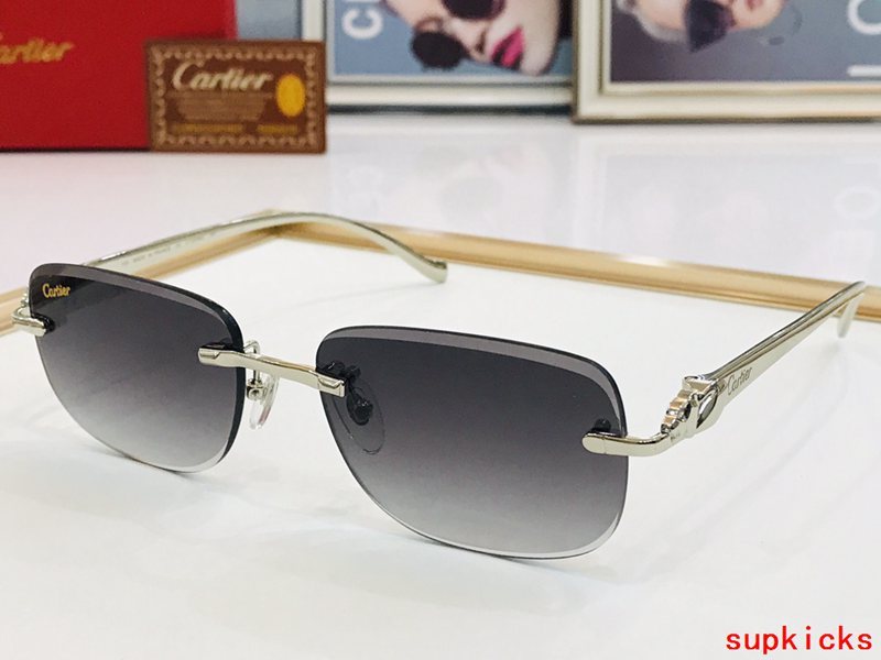 Full view of Cartier unisex sunglasses