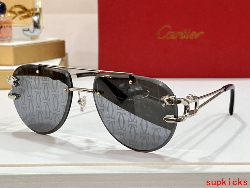 Full view of Cartier unisex sunglasses