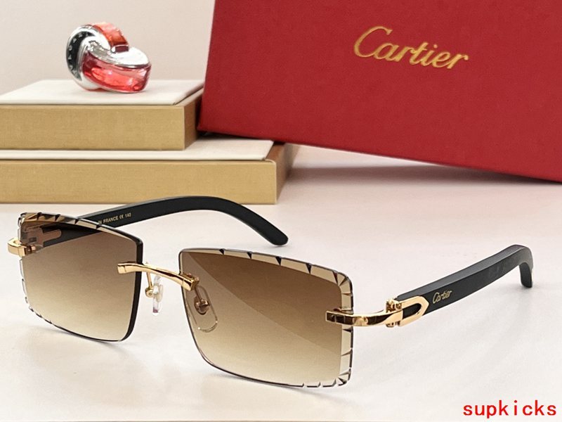 Angled view of Cartier unisex sunglasses