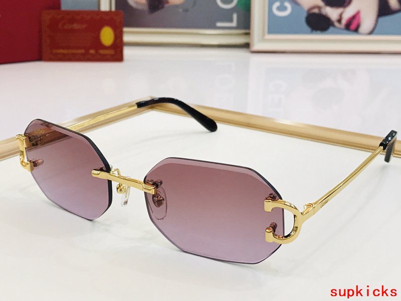 Lifestyle view of Cartier unisex sunglasses