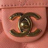 Zivas Charm Polished Finish Designer Handbag (Elevated Daily Companion) – Close-Up Detail