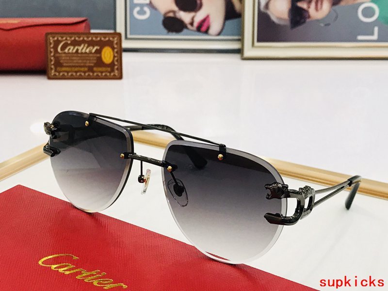 Front view of Cartier unisex sunglasses