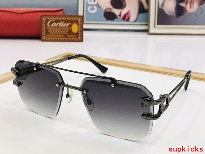 Side view of Cartier unisex sunglasses