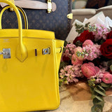 Close-up detail of sophisticated bag design