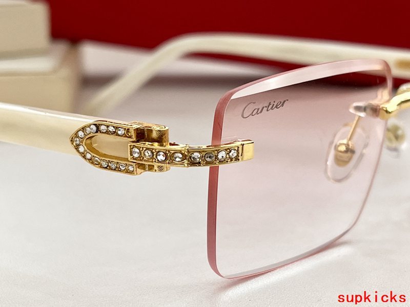 Side view of Cartier unisex sunglasses