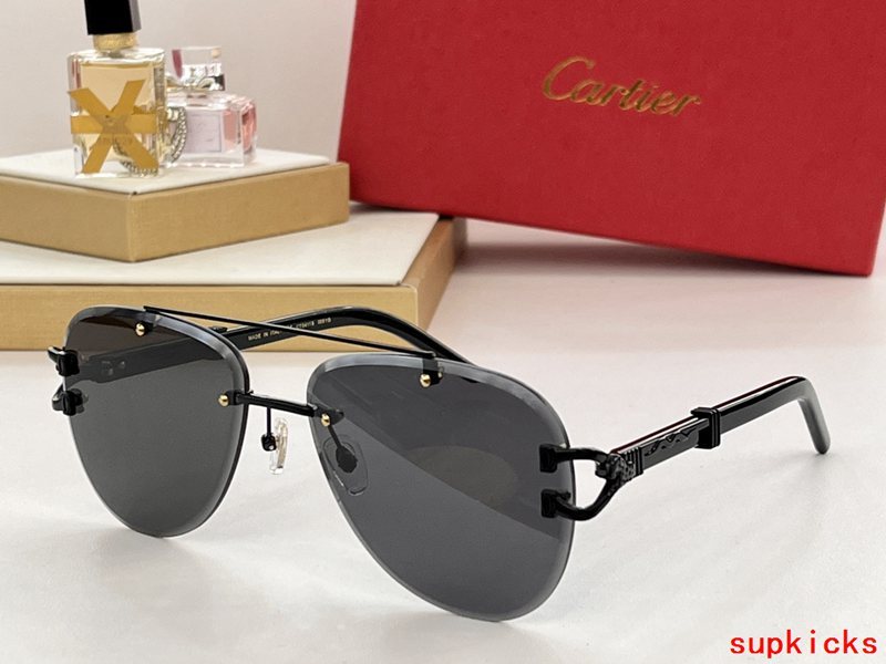 Front view of Cartier unisex sunglasses