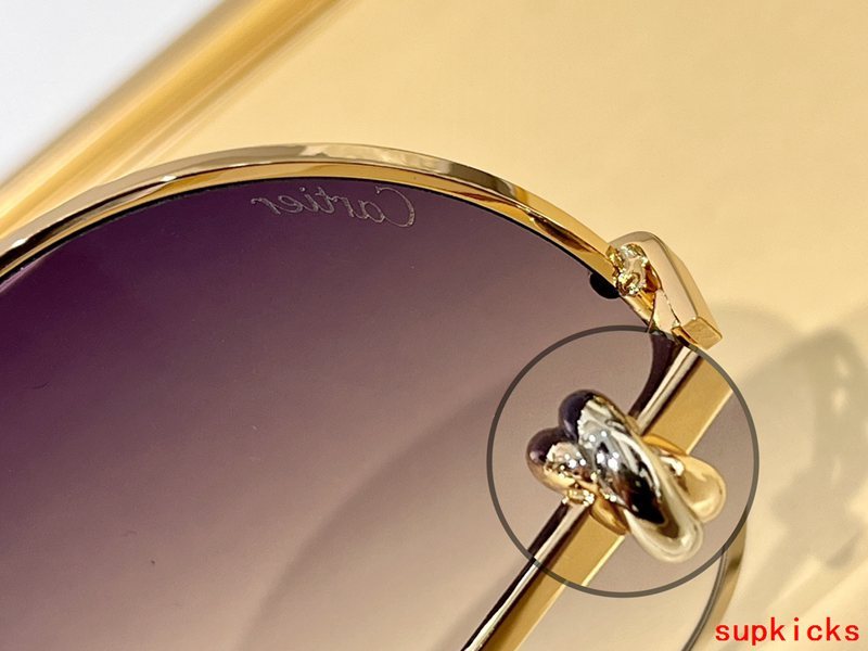 Front view of Cartier unisex sunglasses