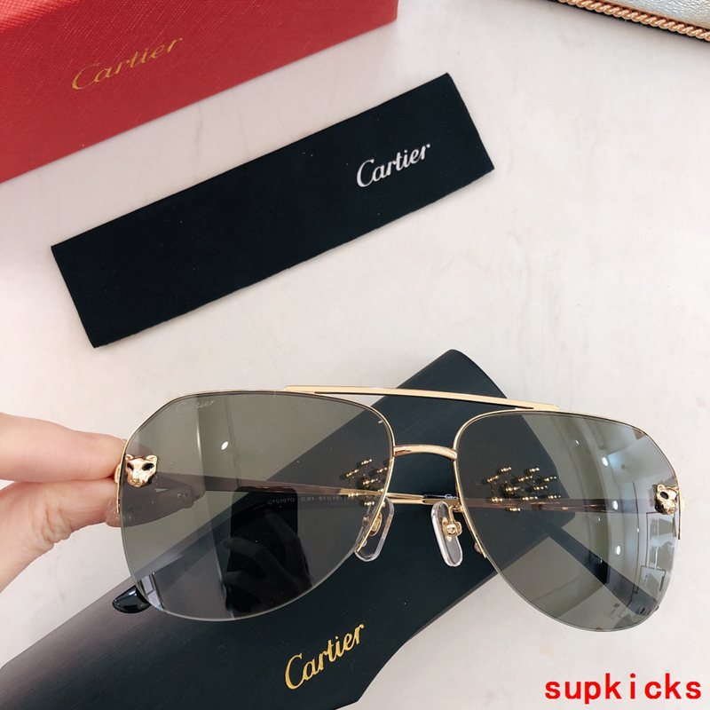 Close-up detail view of Cartier unisex sunglasses