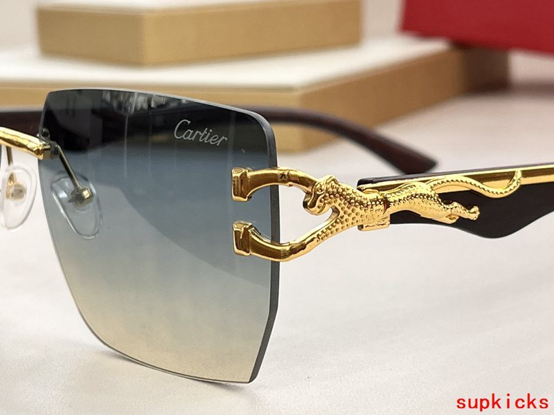 Side view of Cartier unisex sunglasses