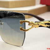 Side view of Cartier unisex sunglasses