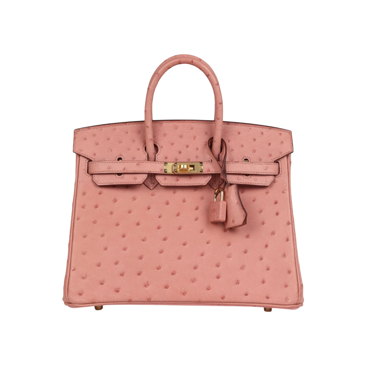 HermÃ¨s Birkin 25 Terre Cuite Ostrich Gold Hardware