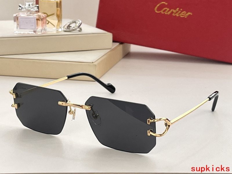 Close-up detail view of Cartier unisex sunglasses