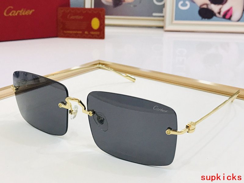 Full view of Cartier unisex sunglasses