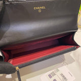 Ziva's Charm handbag – interior view (one versatile size)