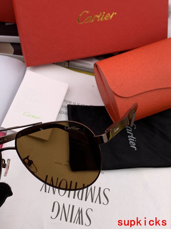 Side view of Cartier unisex sunglasses